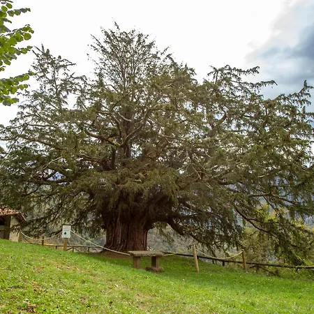 El Torreon - Casas Del Oso Proaza