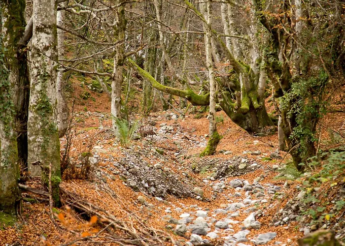 Chalet El Torreón - Casas Del Oso Proaza