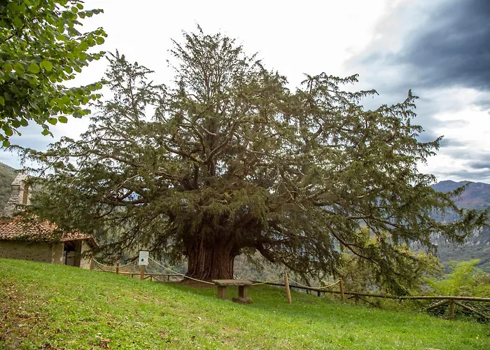 El Torreón - Casas Del Oso Proaza